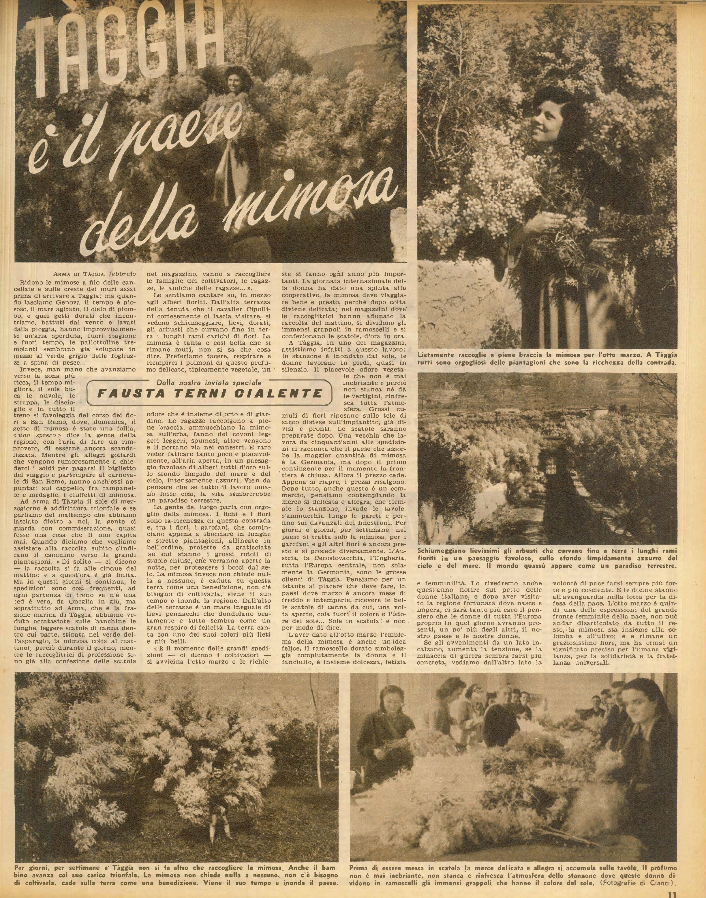 Foto: 8 marzo giornata della donna