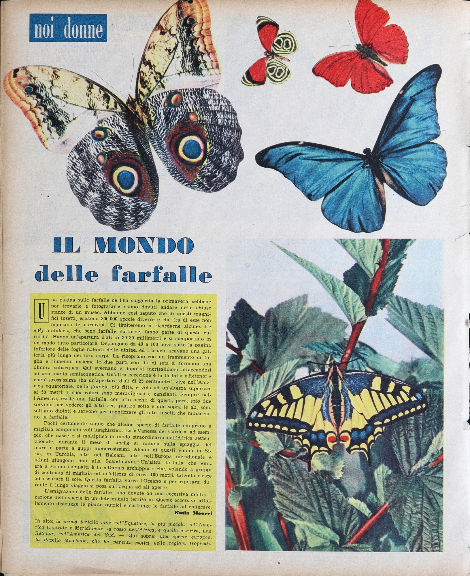 Foto: Noi Donne X n. 13