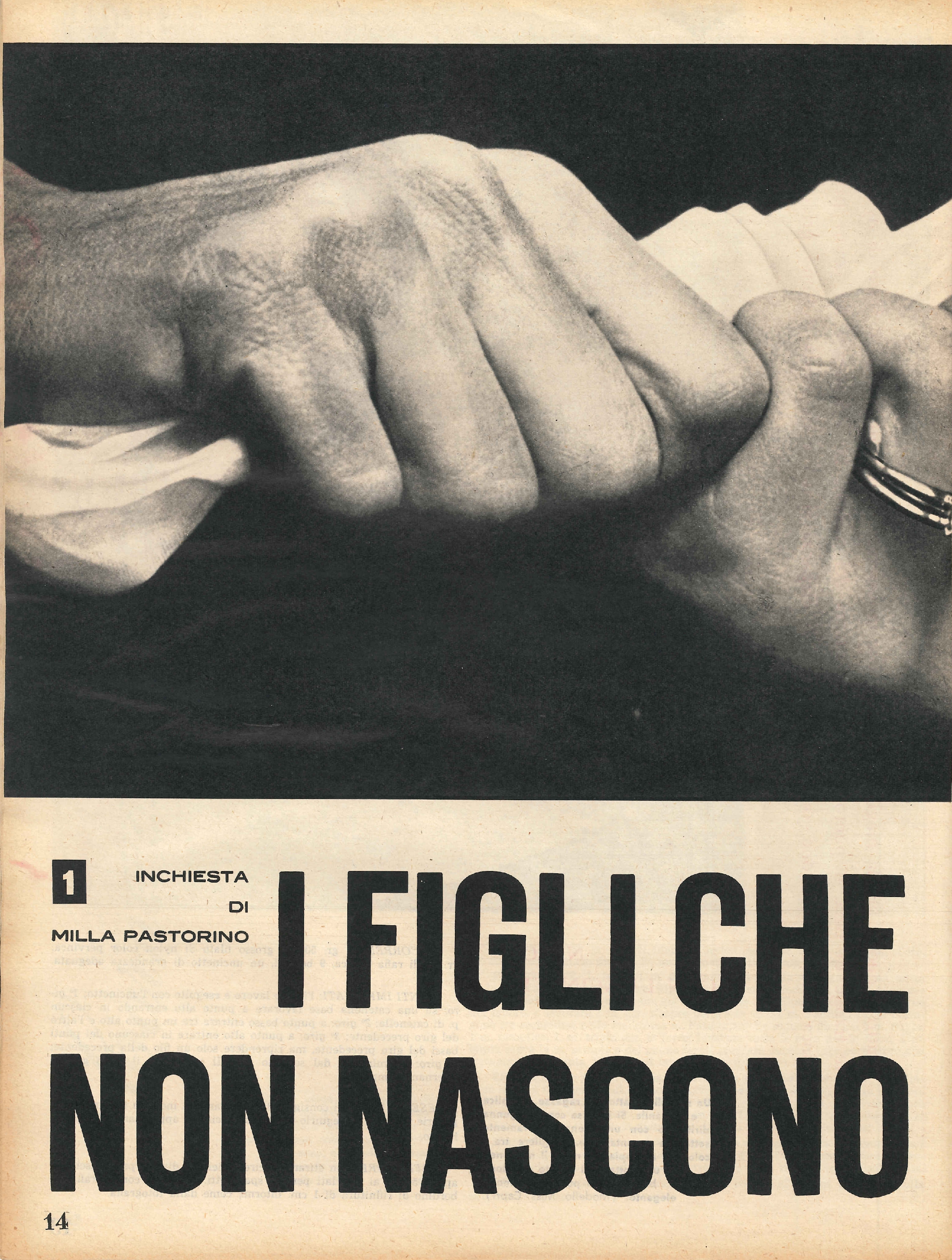Foto: Antonella Lualdi...