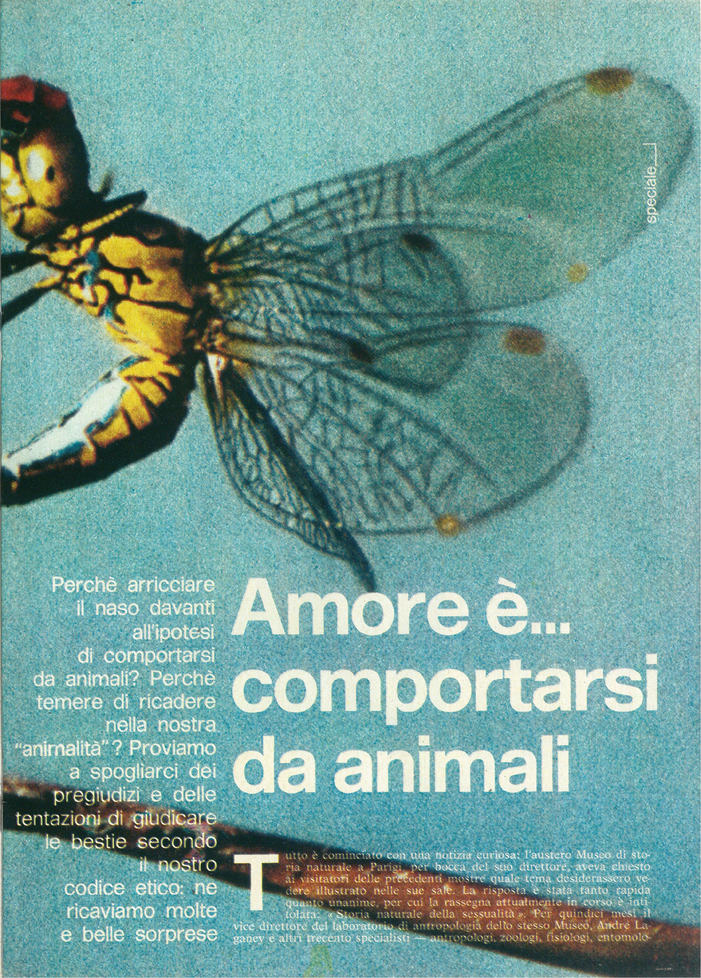 Foto: Amore è ... comportarsi da animali