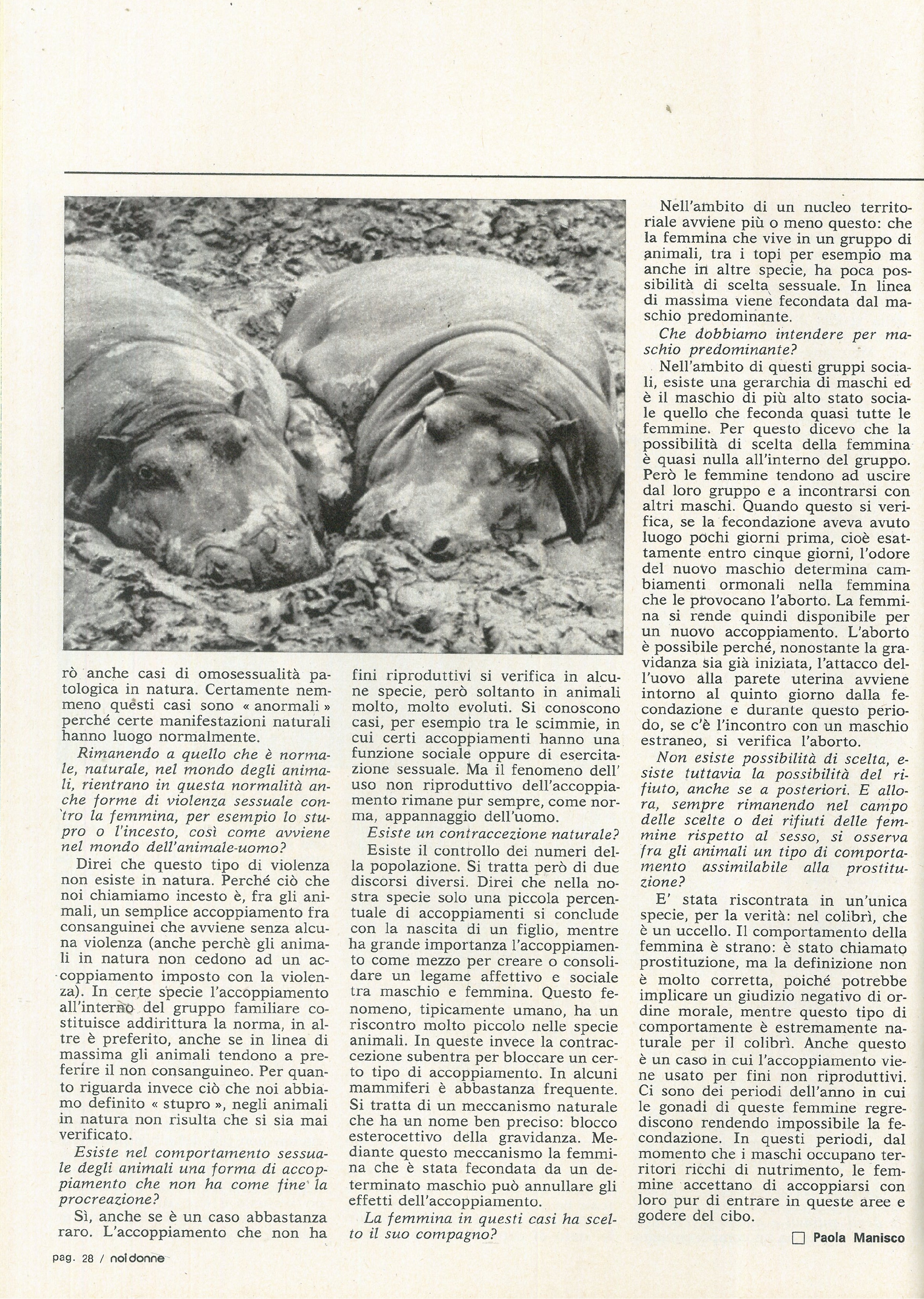 Foto: Amore è ... comportarsi da animali