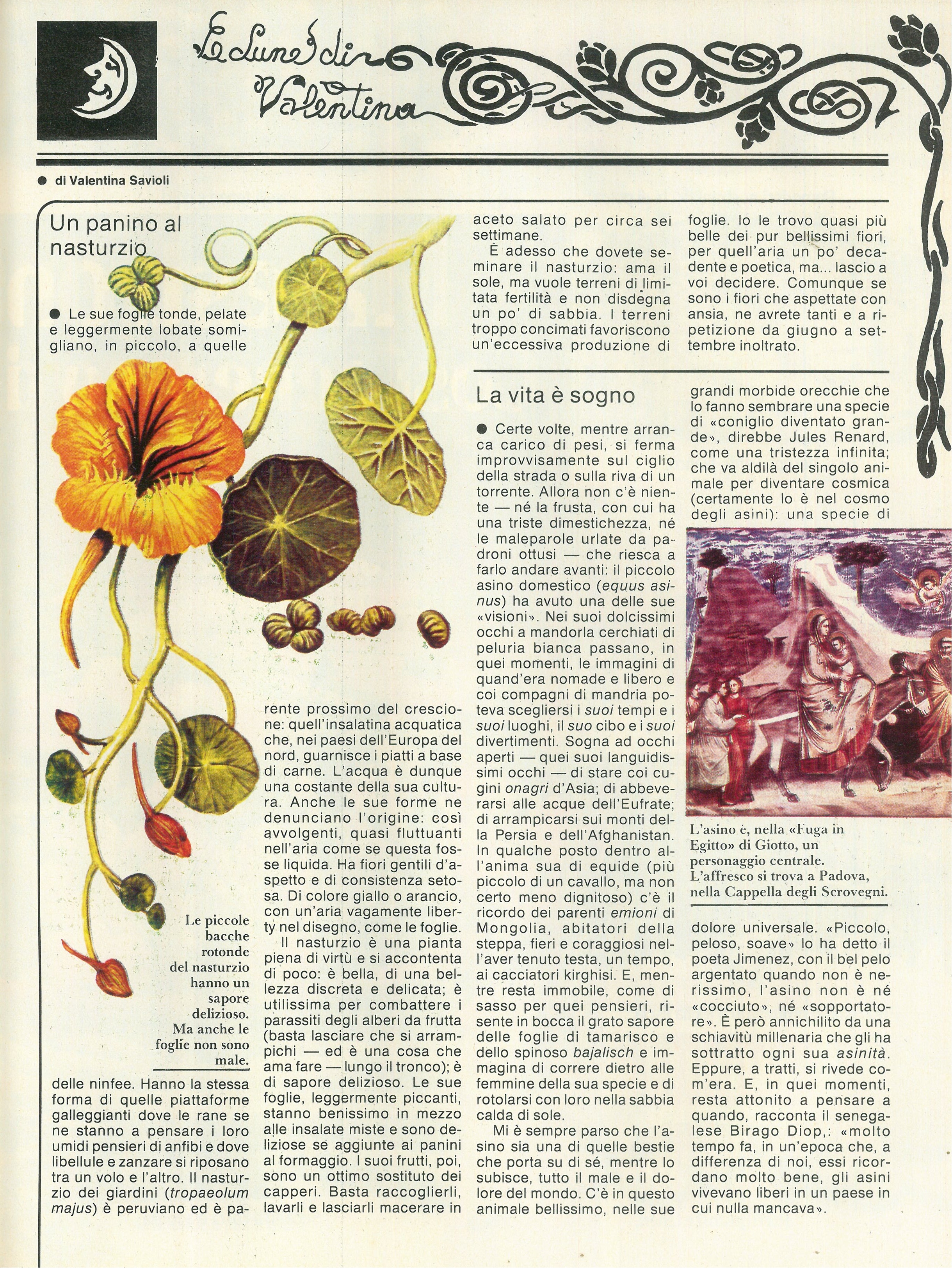 Foto: Letteralmente Tua