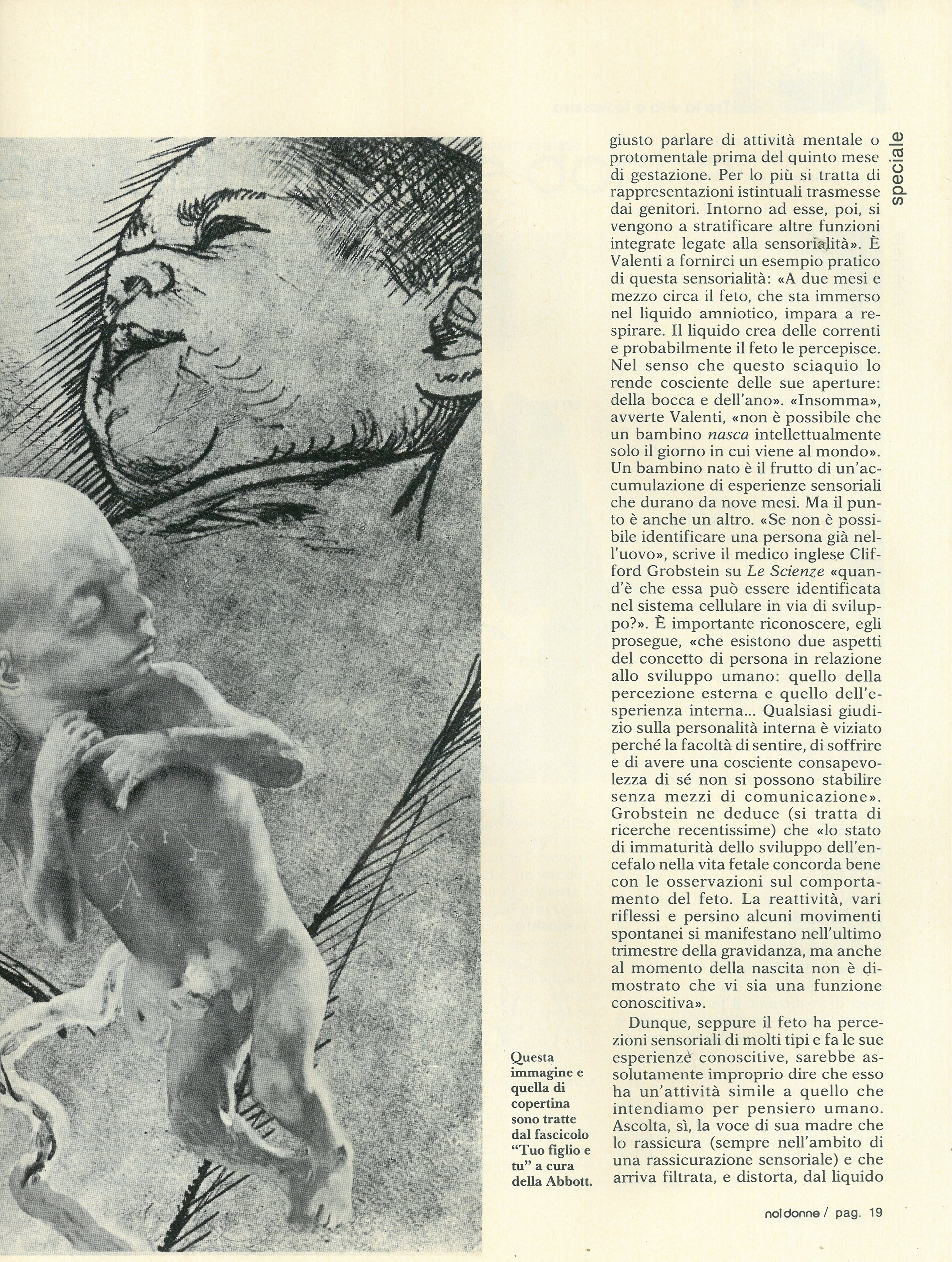 Foto: Tra la vita e la nascita
