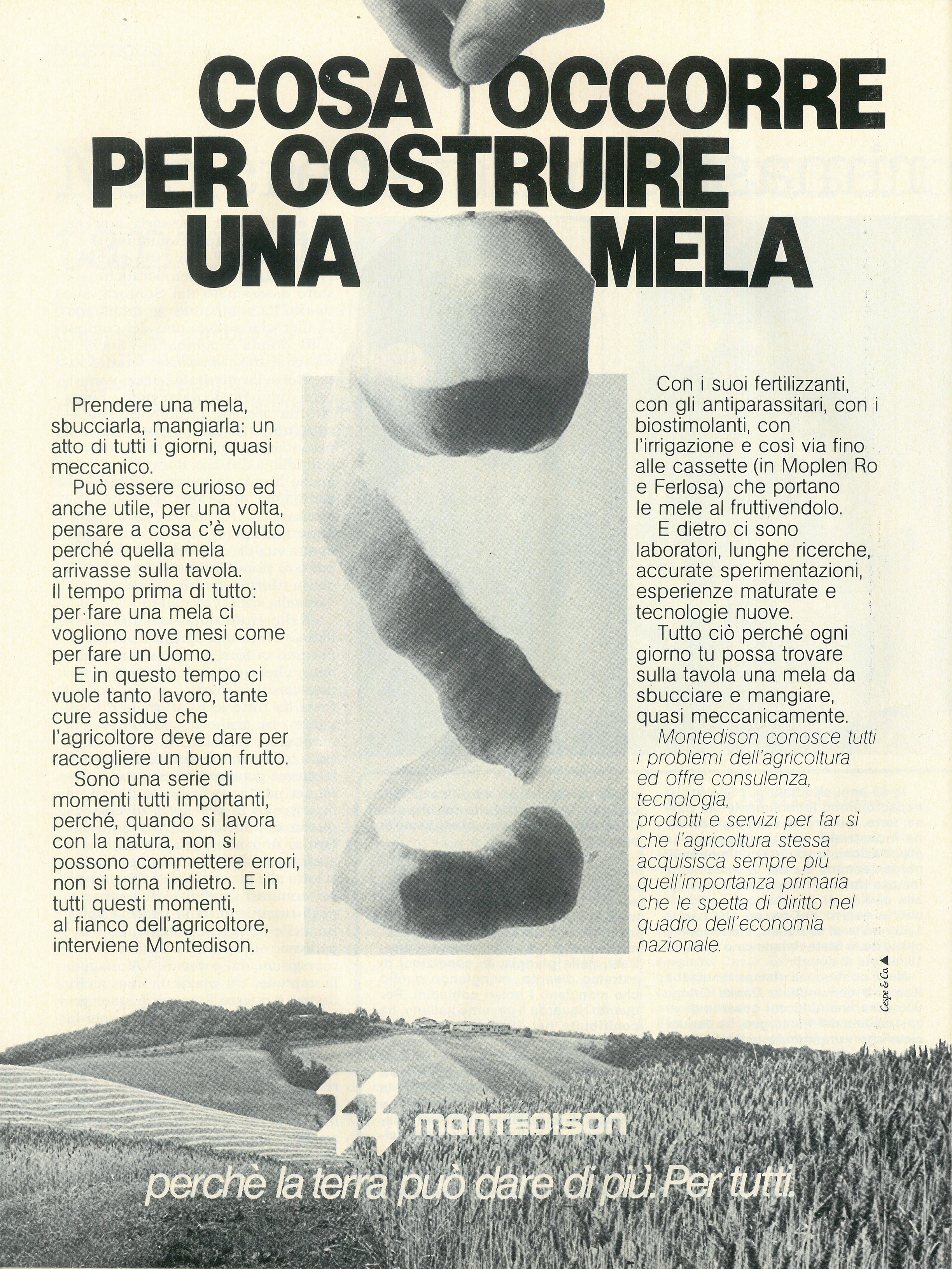 Foto: Tra la vita e la nascita