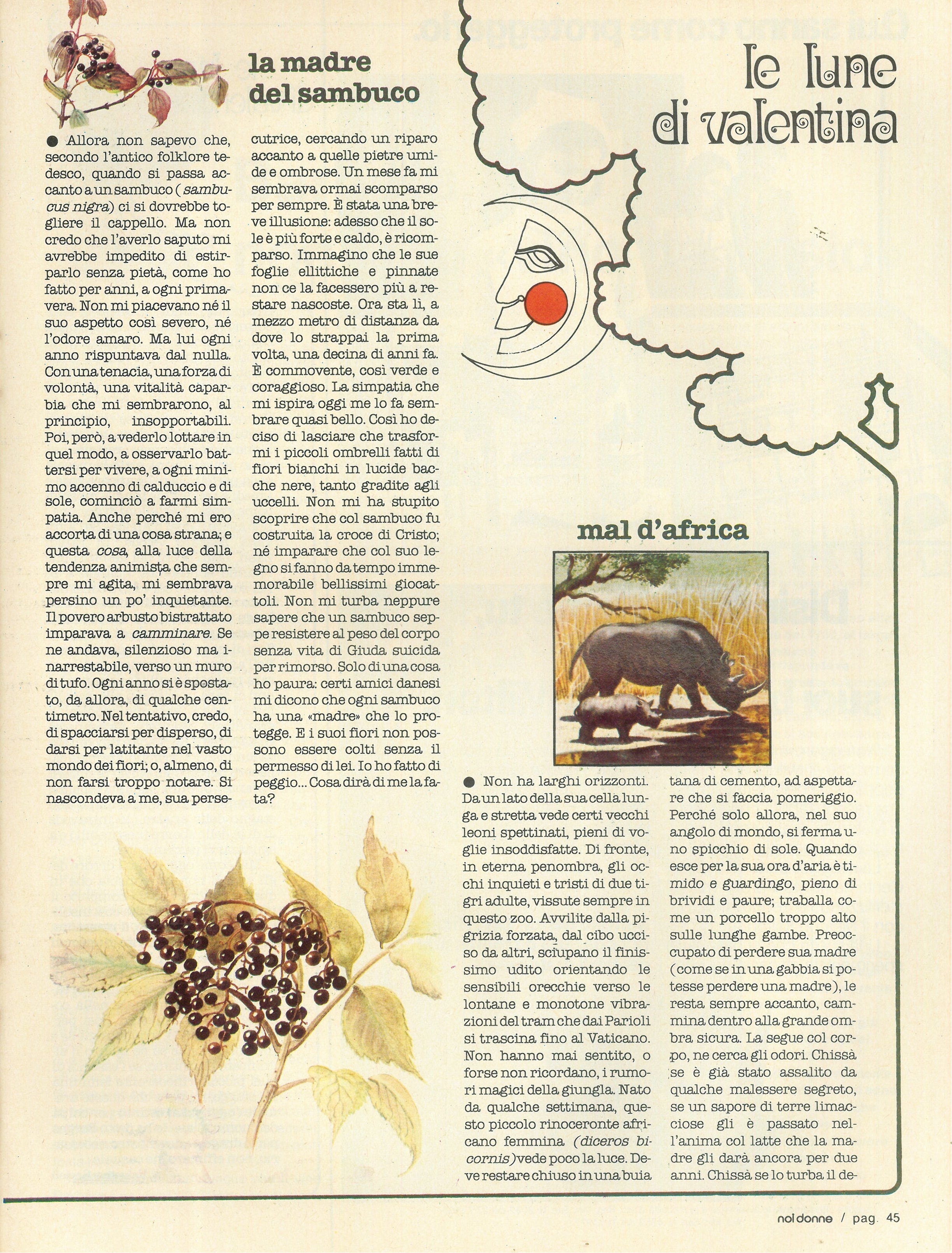 Foto: Speciale 25 Aprile