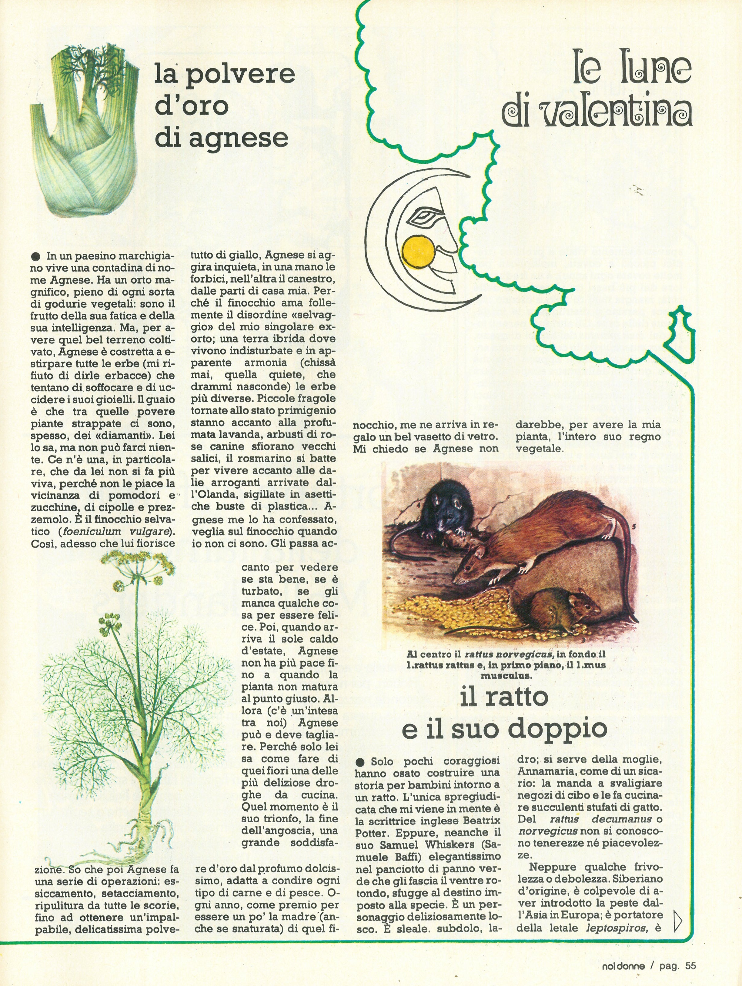 Foto: Il tradimento amoroso esiste ancora?