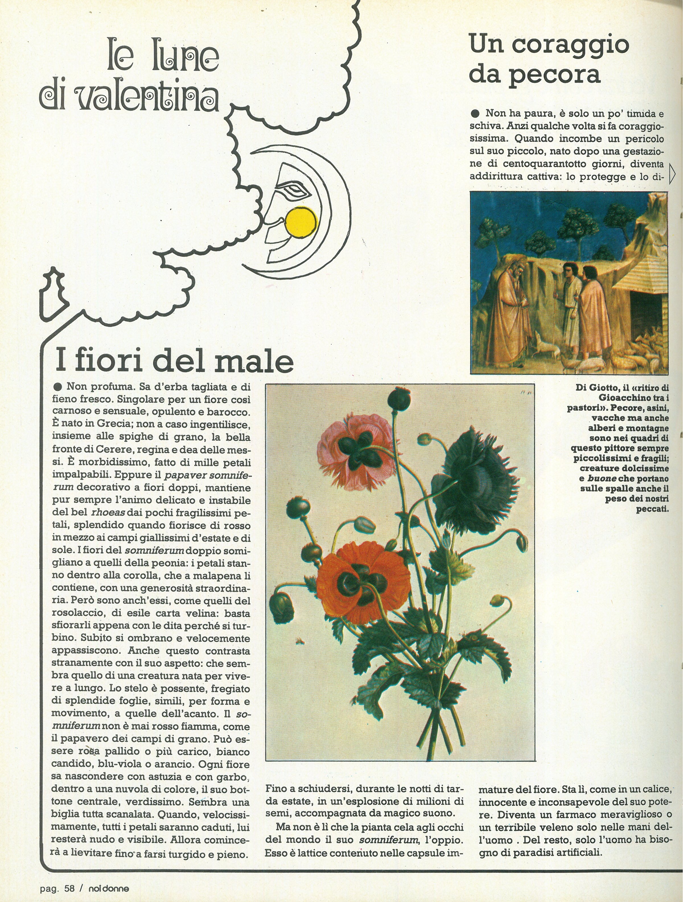 Foto: Studiare a Cagliari