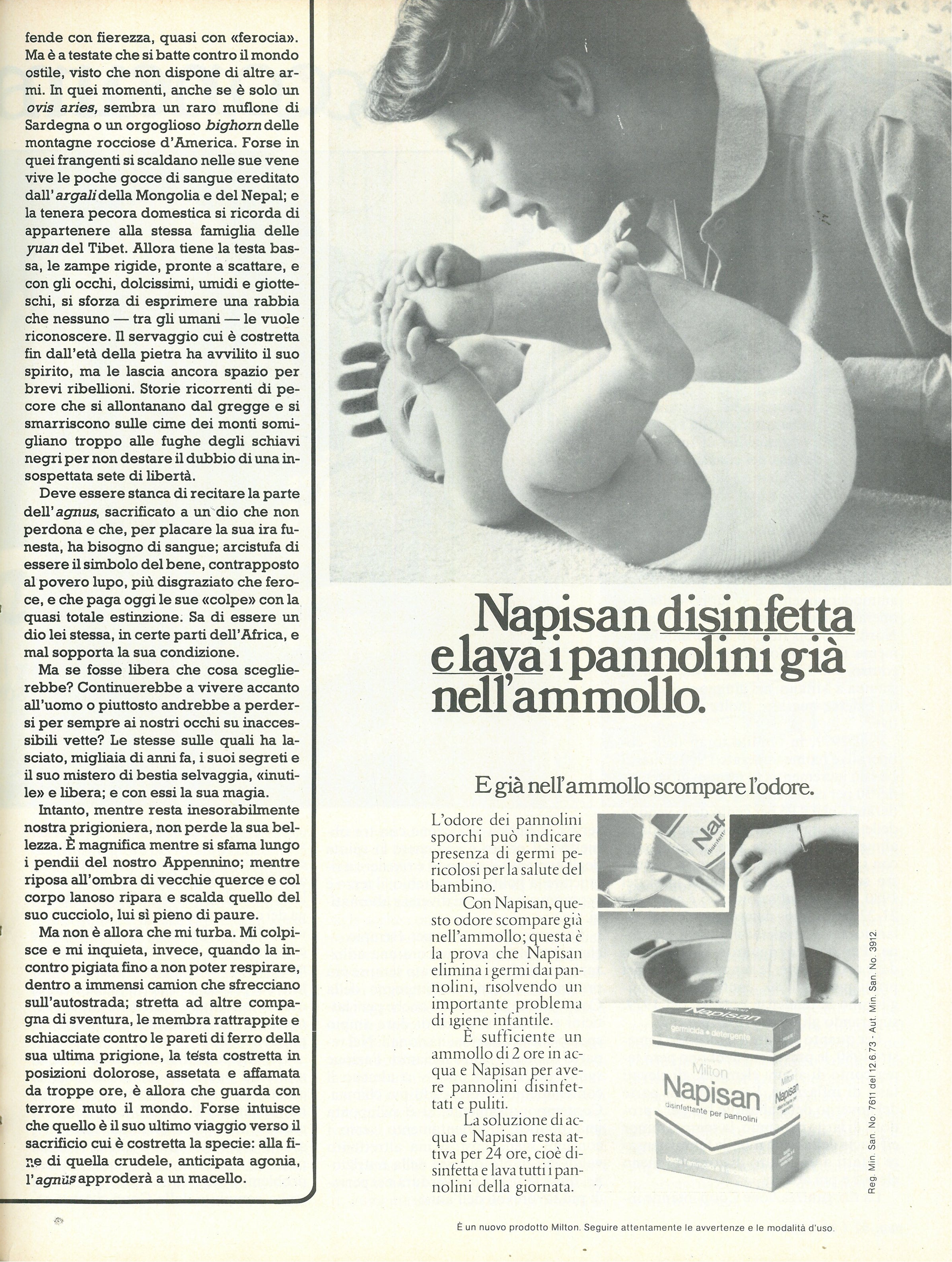 Foto: Studiare a Cagliari