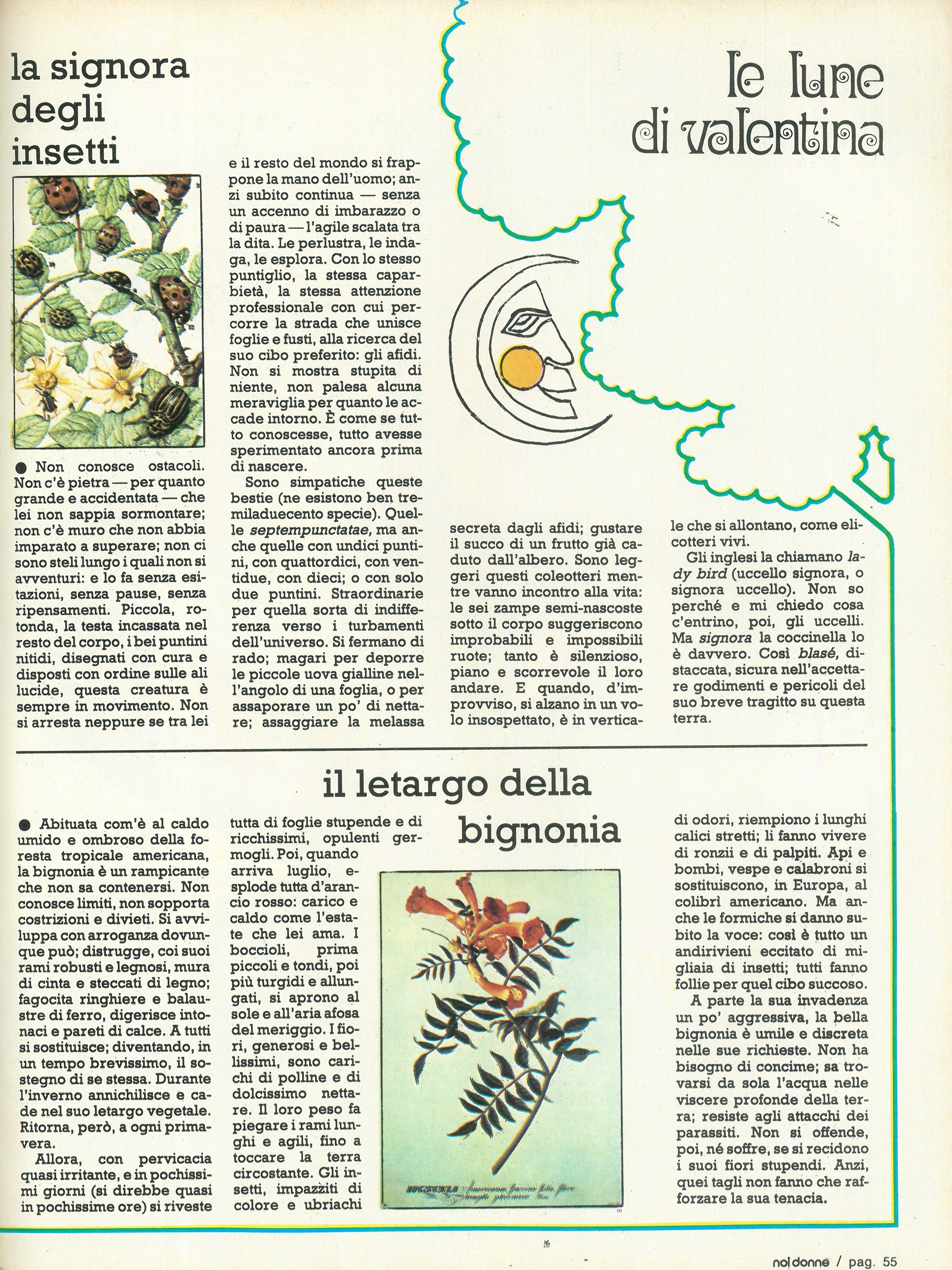 Foto: Un Paese vuol dire ....