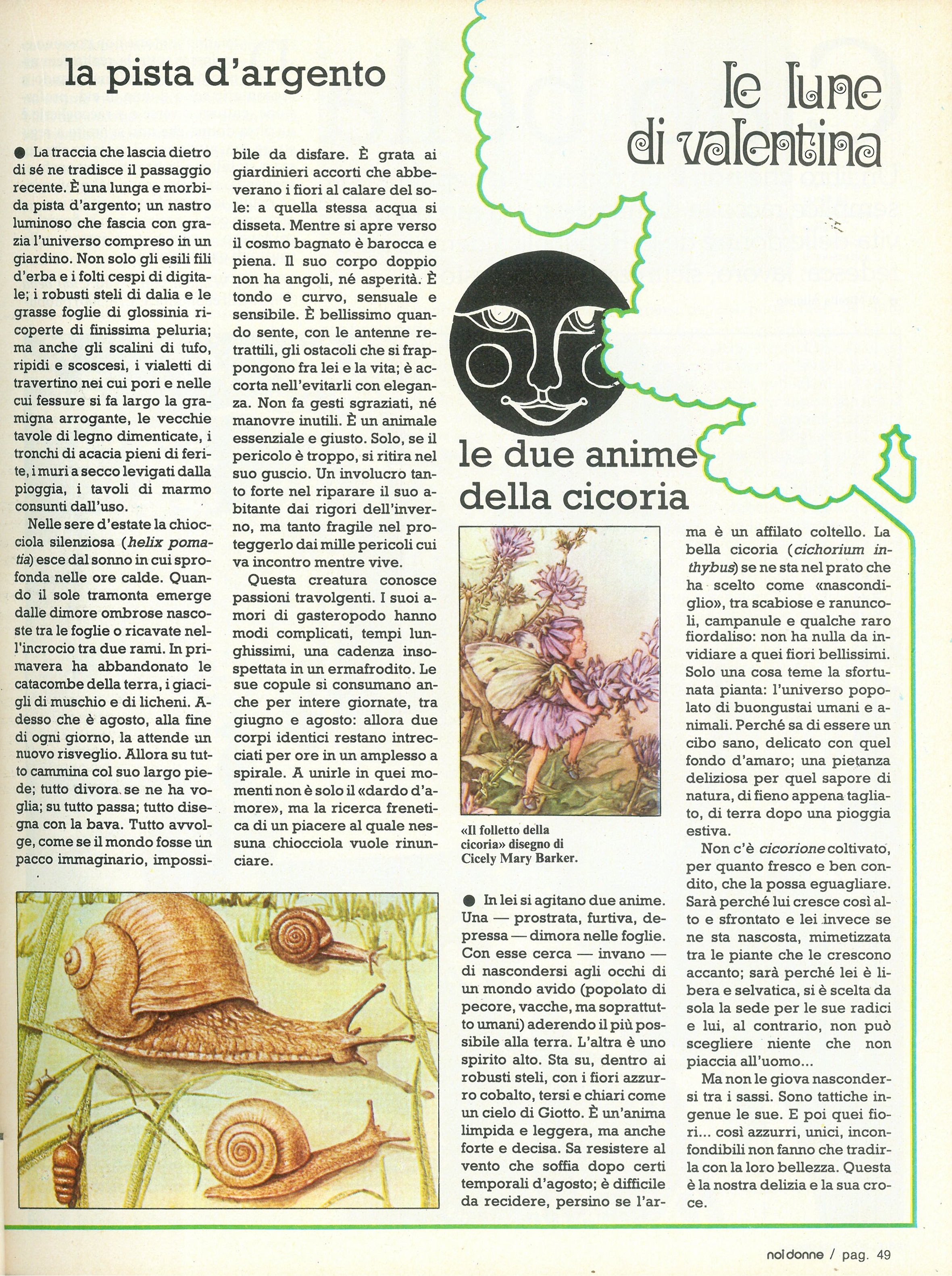 Foto: Grasse come te