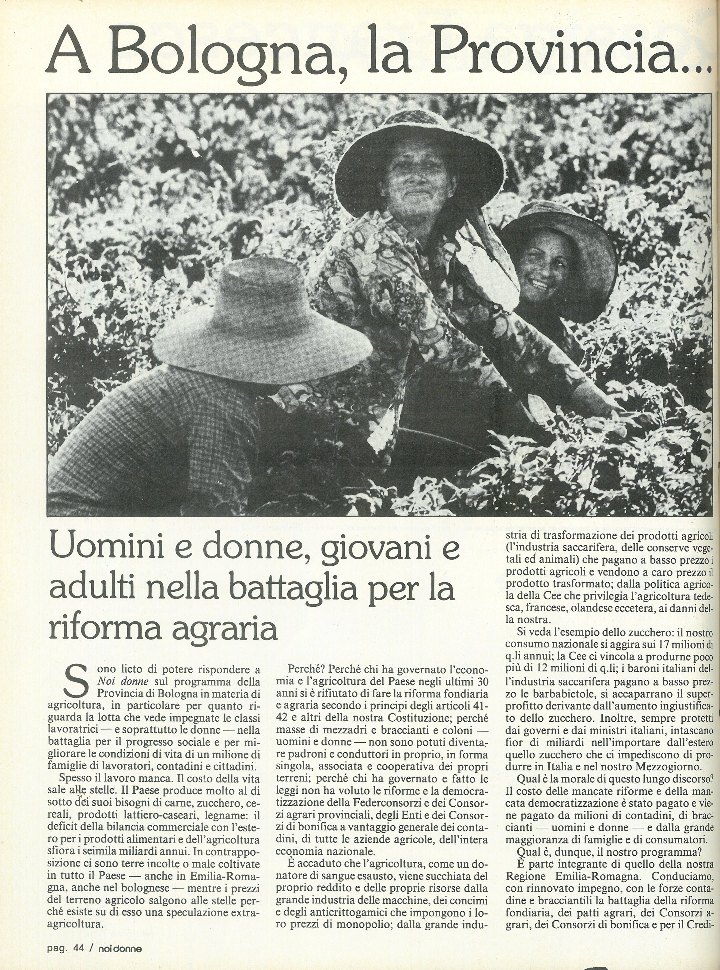 Foto: Una moglie straniera