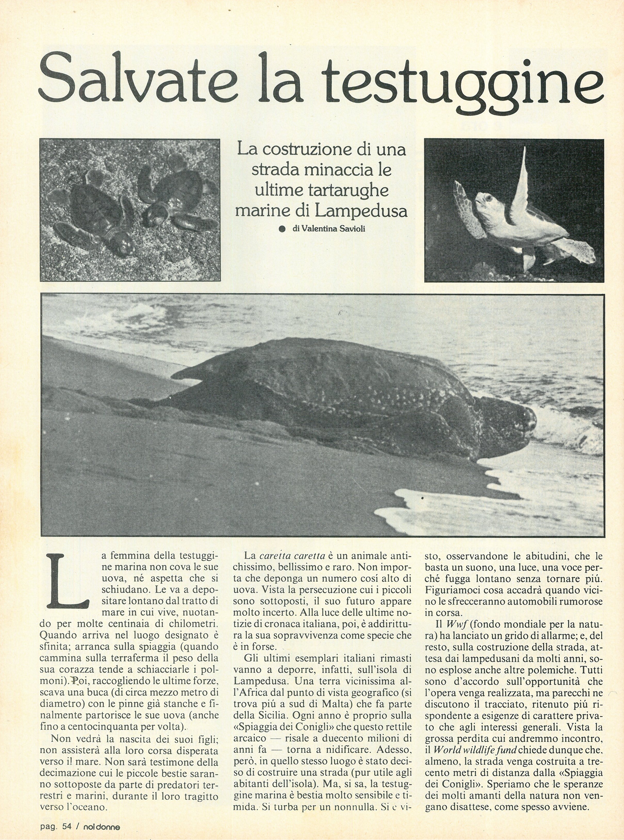 Foto: Voglio sapere