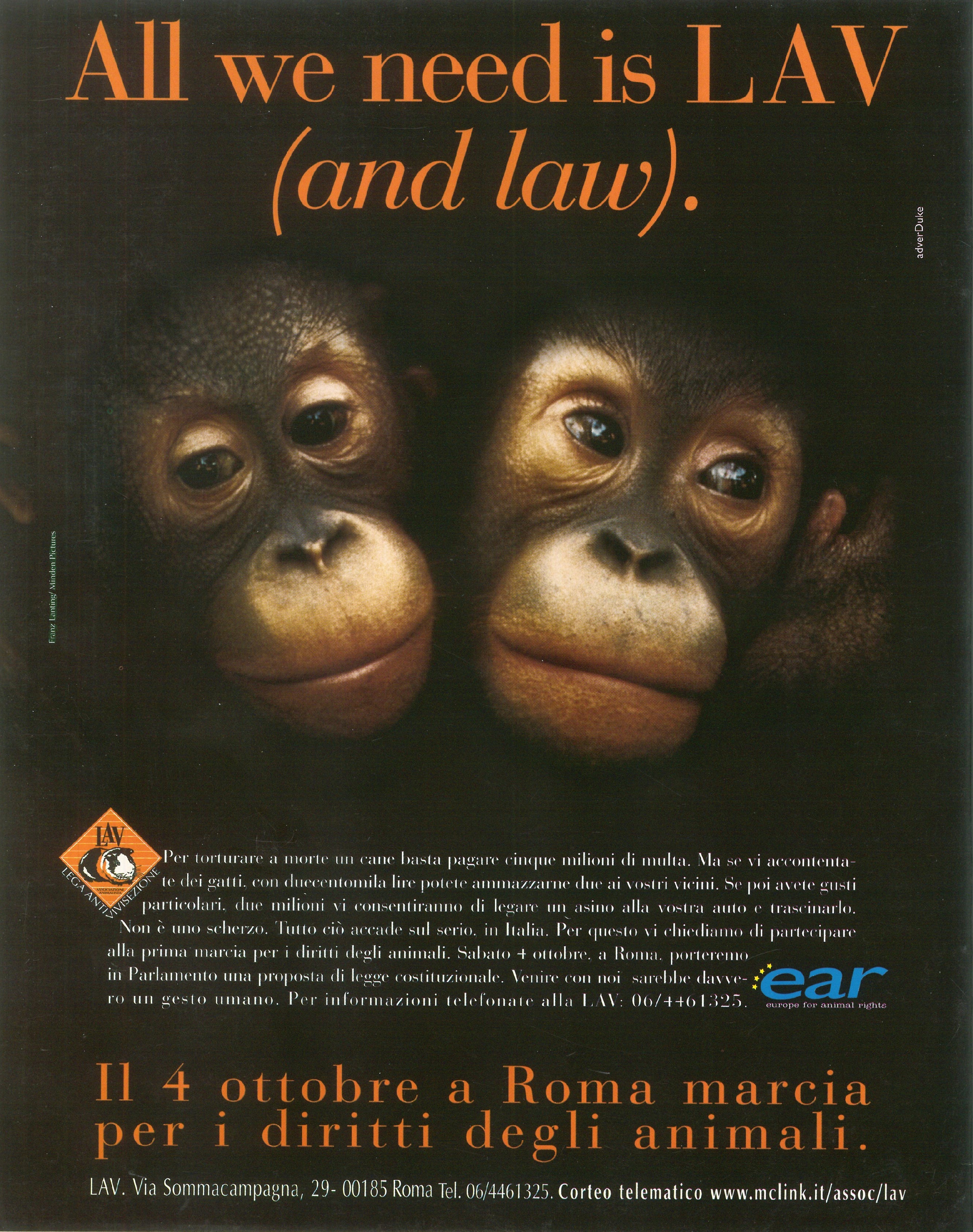 Foto: Il caso italiano