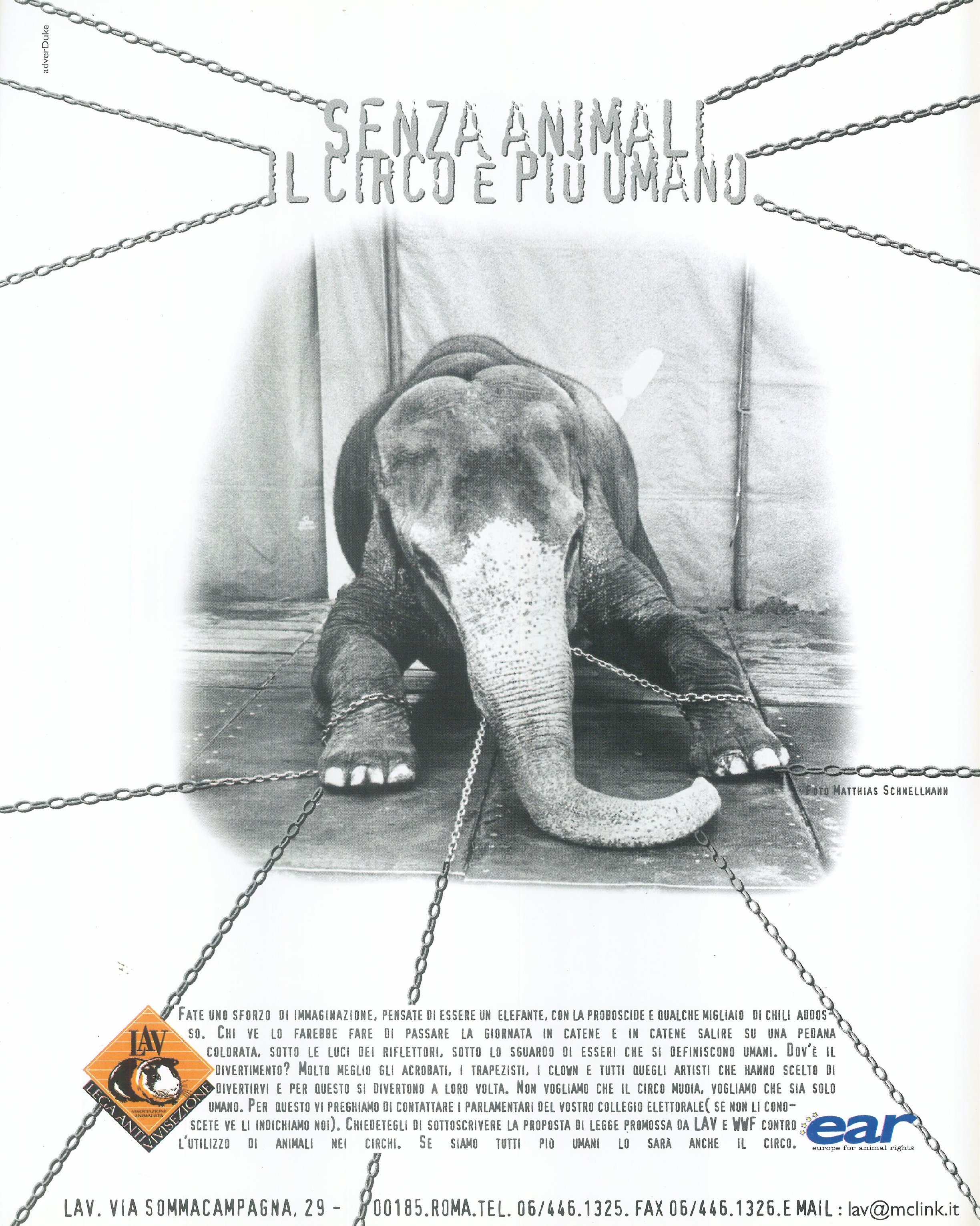 Foto: Le scelte di Francesca
